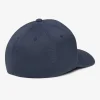 Angels Window Fitted Hat