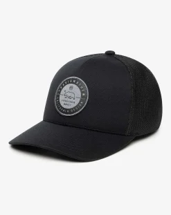 Bear 2.0 Fitted Hat