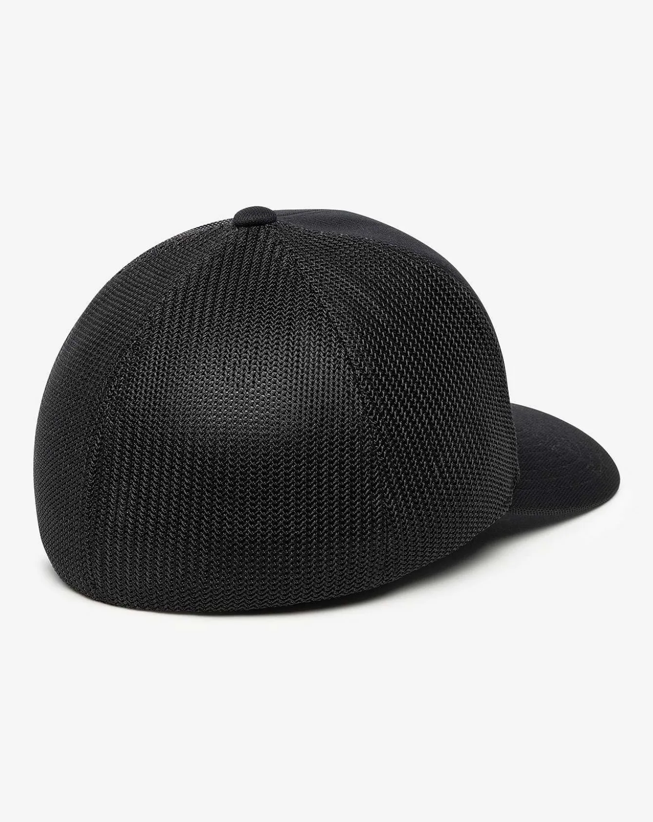 Bear 2.0 Fitted Hat