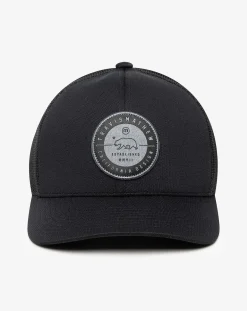 Bear 2.0 Fitted Hat
