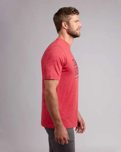 Dad Bod