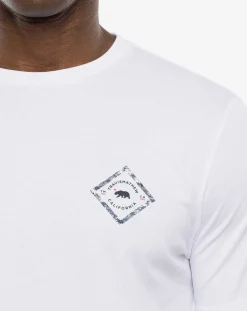 Fern Canyon Tee