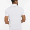 In A Meeting Polo