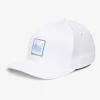 In The Line Up Fitted Hat