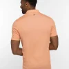 Mesa Central Polo