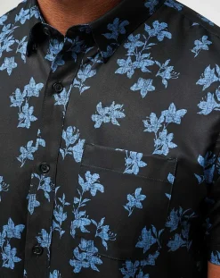 Mist On The Lake Button-Up