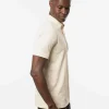 On Porpoise Polo