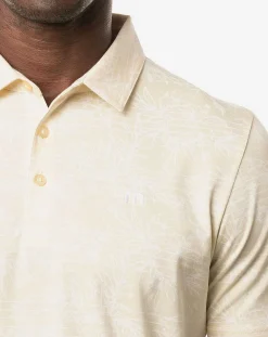 On Porpoise Polo