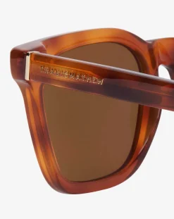 Seacliff Sunglasses