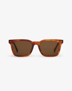 Seacliff Sunglasses