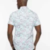 Stylite Button-Up