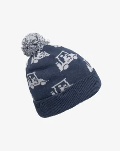 Swingles Beanie